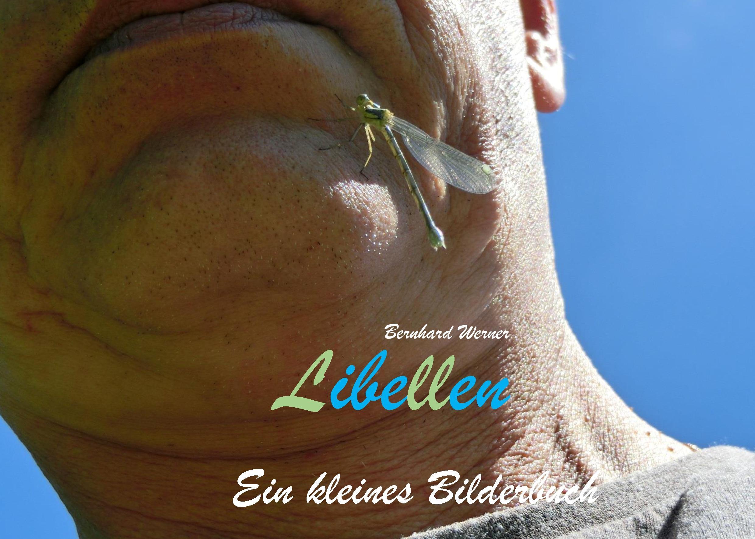 Vorderes Coverbild Libellen