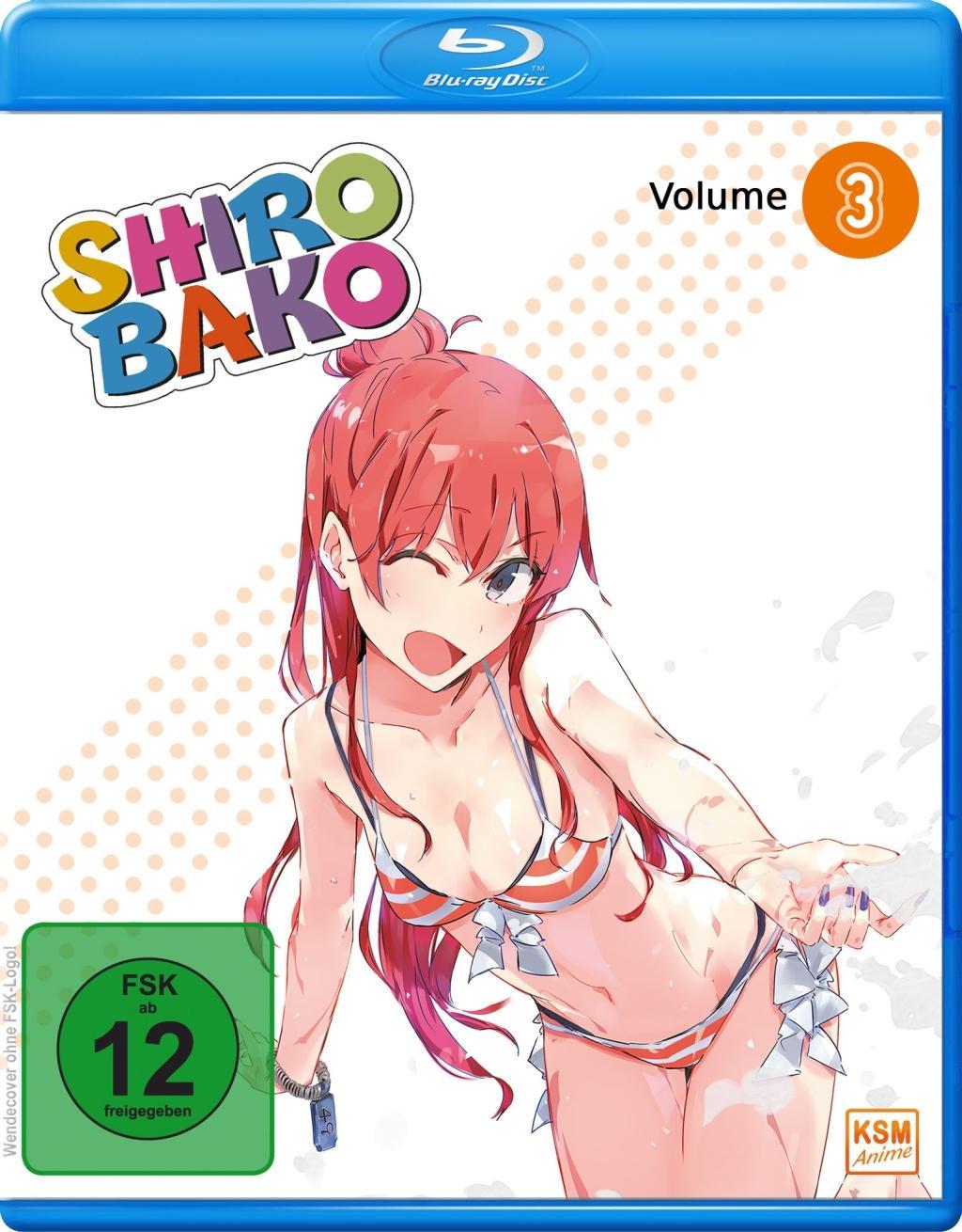 Vorderes Coverbild Shirobako