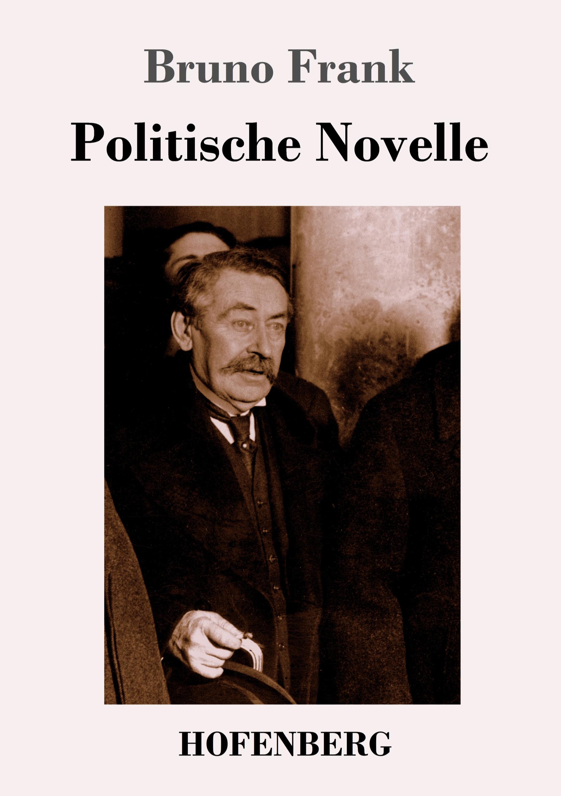 Vorderes Coverbild Politische Novelle