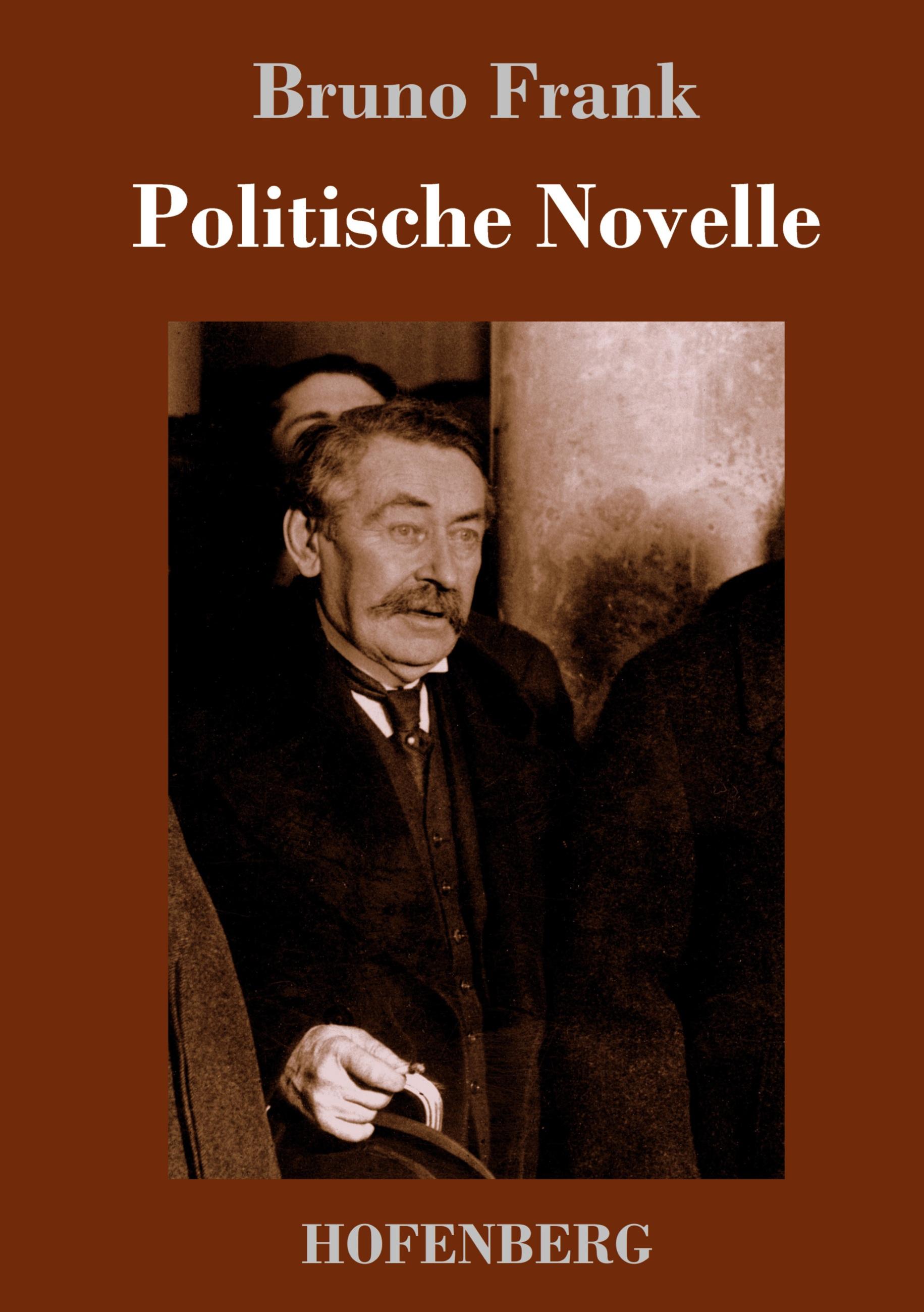 Vorderes Coverbild Politische Novelle