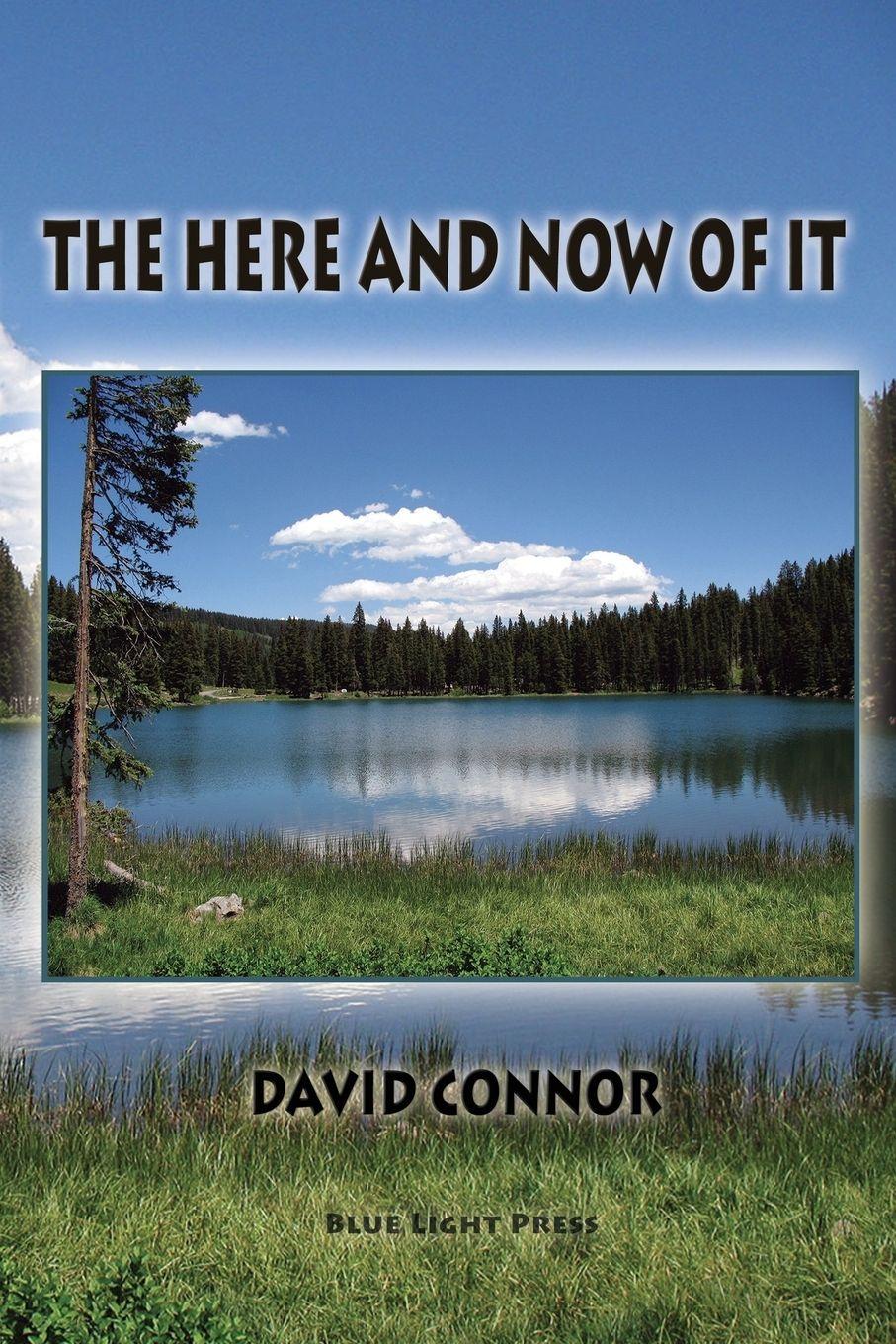 Vorderes Coverbild The Here and Now of It