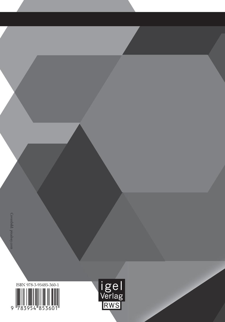 Rückseitencover Immaterielles Vermögen als Werttreiber einer Unternehmung. Identifikation und Bewertung von Spielräumen bei der Bilanzierung immaterieller Vermögenswerte nach IFRS