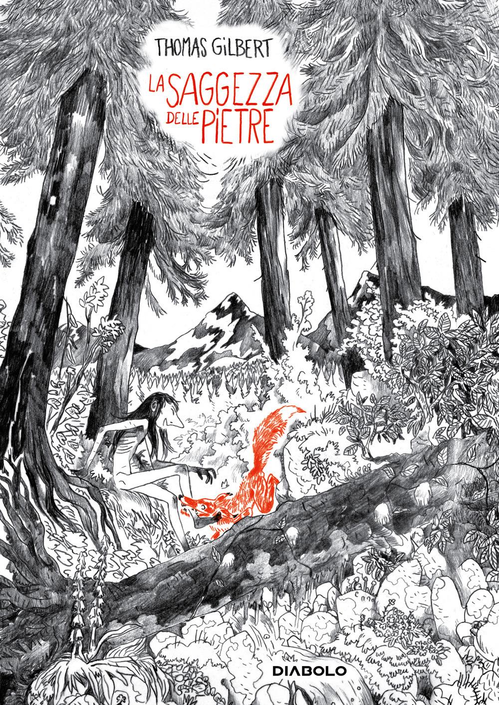 Vorderes Coverbild La saggezza delle pietre