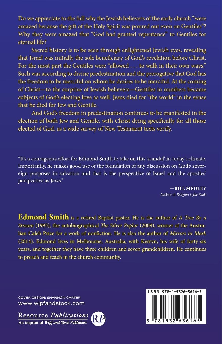 Rückseitencover The Scandal of God's Forgiveness