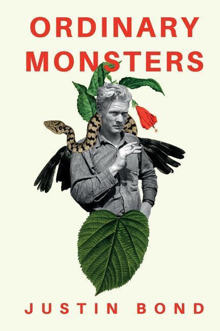 Vorderes Coverbild Ordinary Monsters