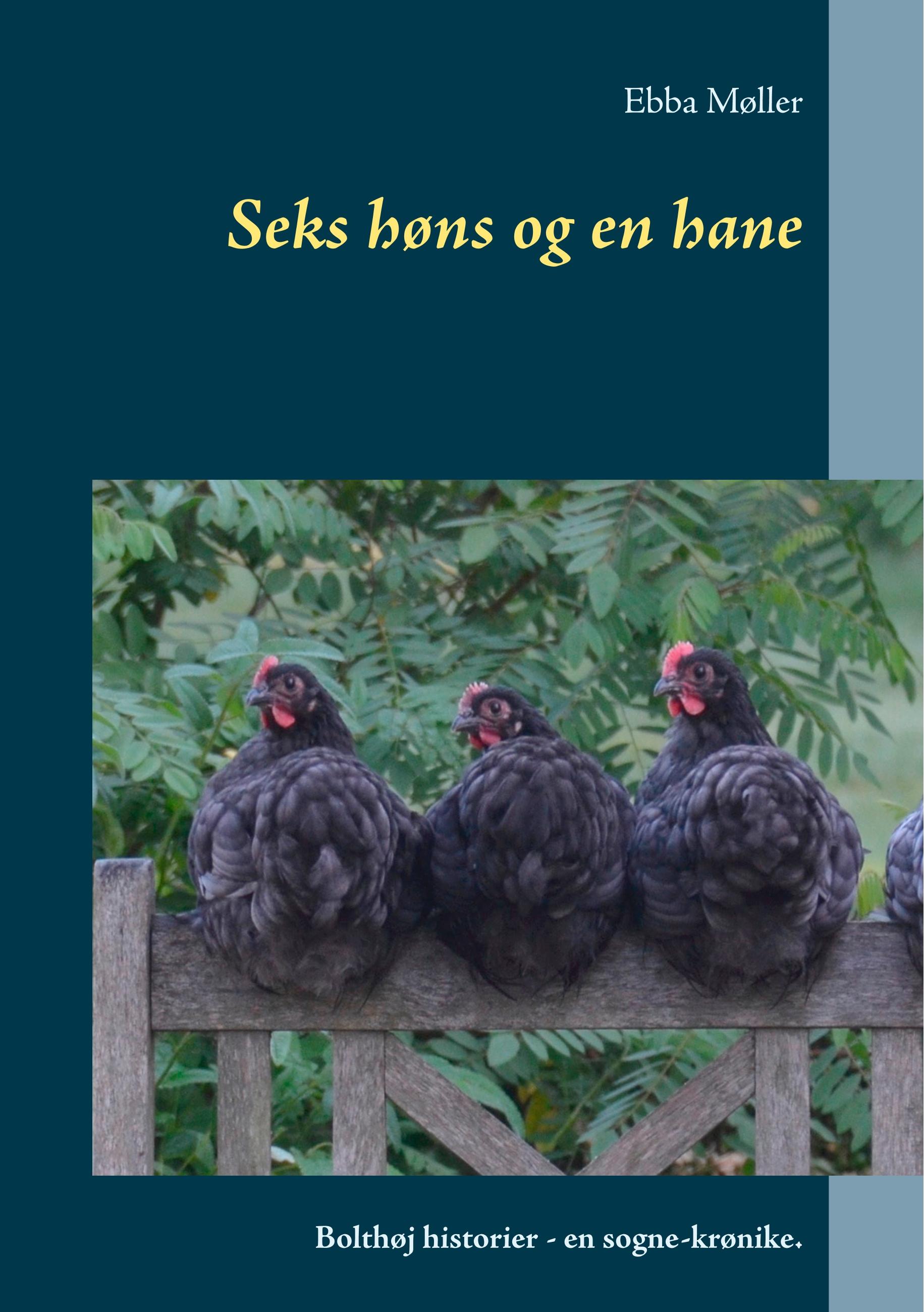 Vorderes Coverbild Seks høns og en hane
