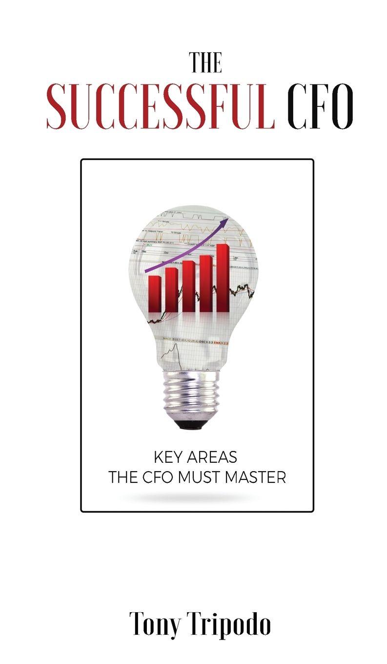 Vorderes Coverbild The Successful CFO