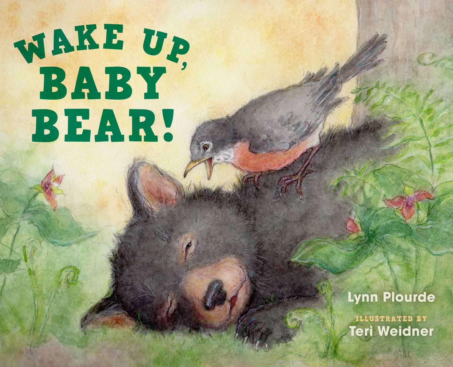 Vorderes Coverbild Wake Up, Baby Bear!
