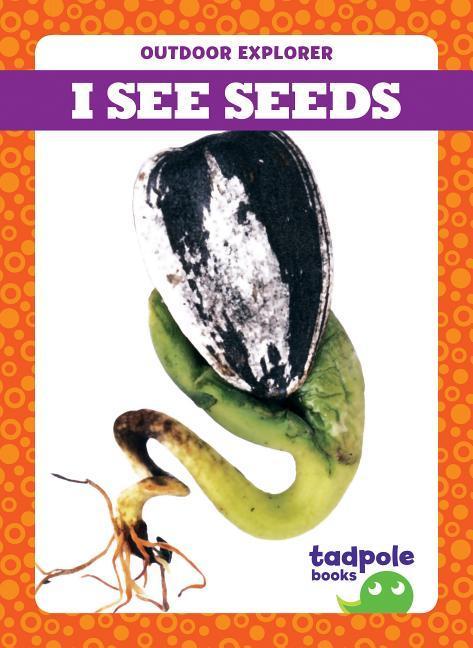 Vorderes Coverbild I See Seeds