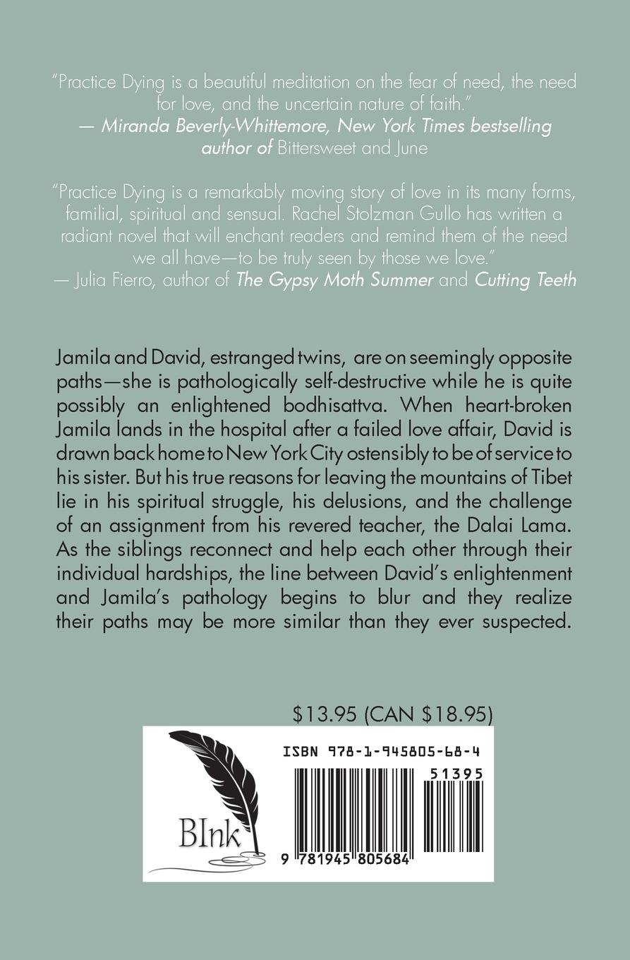 Rückseitencover Practice Dying