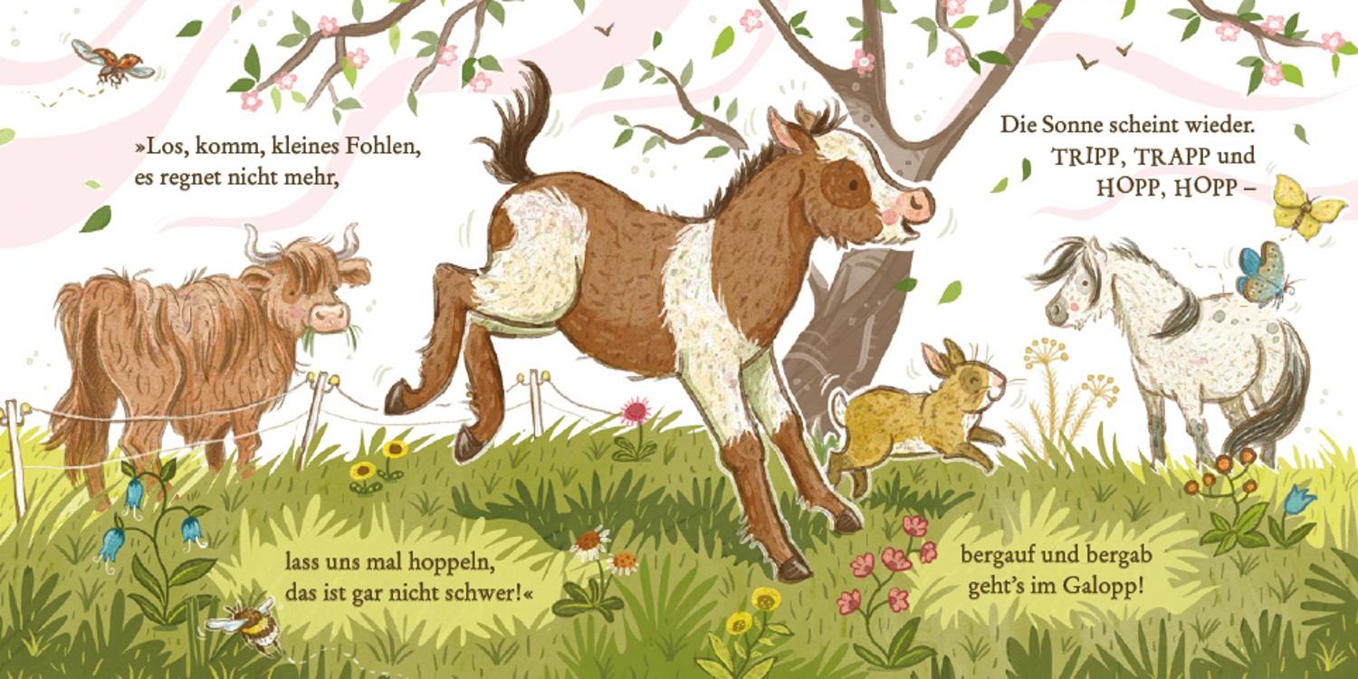 Beispielinhalt (Bild) Hallo, kleines Pony!