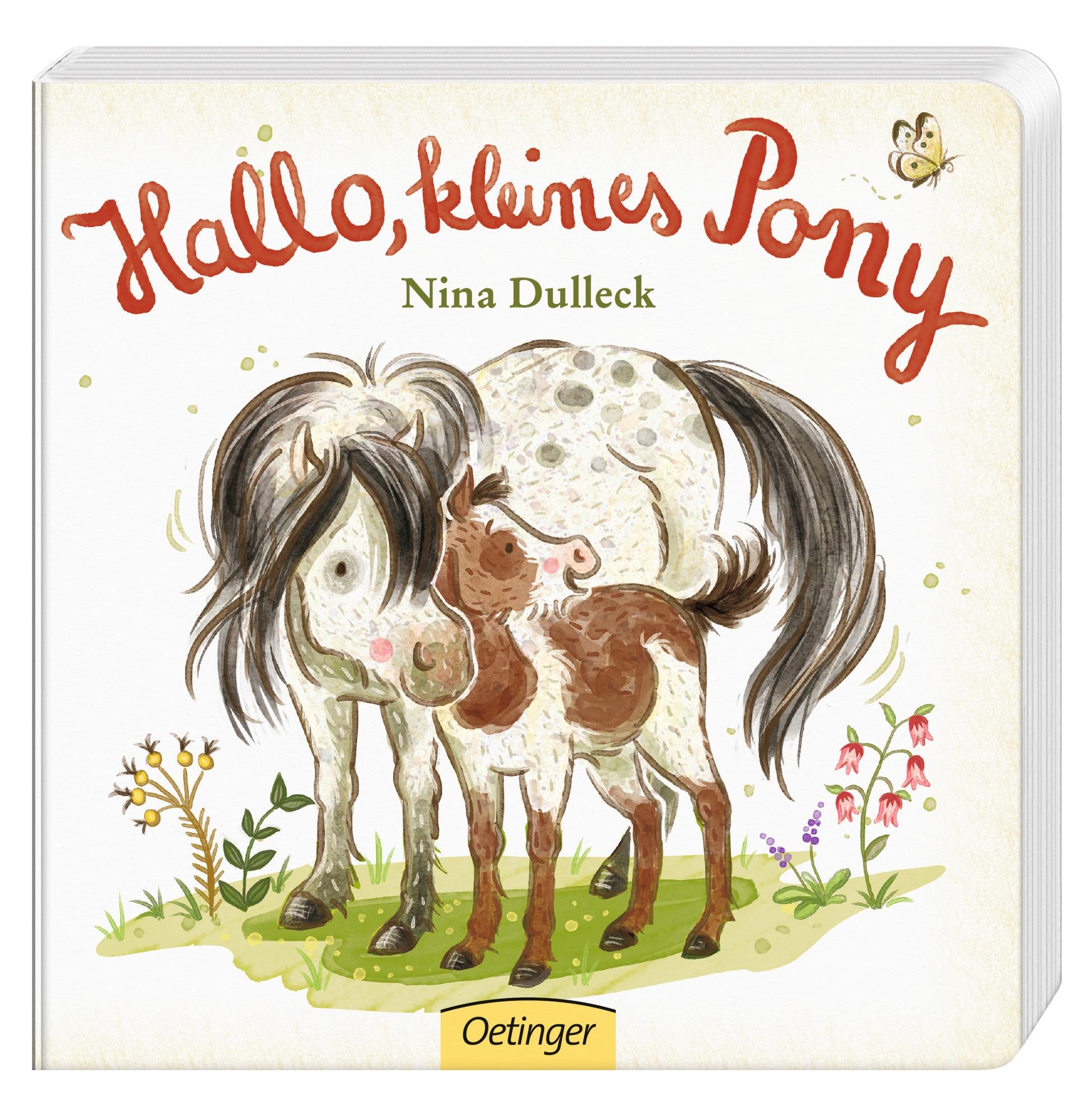 Beispielinhalt (Bild) Hallo, kleines Pony!