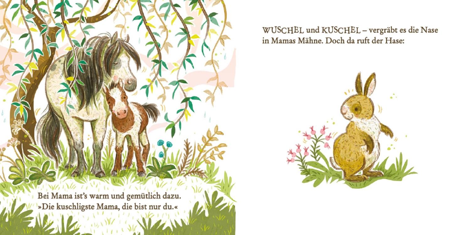 Beispielinhalt (Bild) Hallo, kleines Pony!