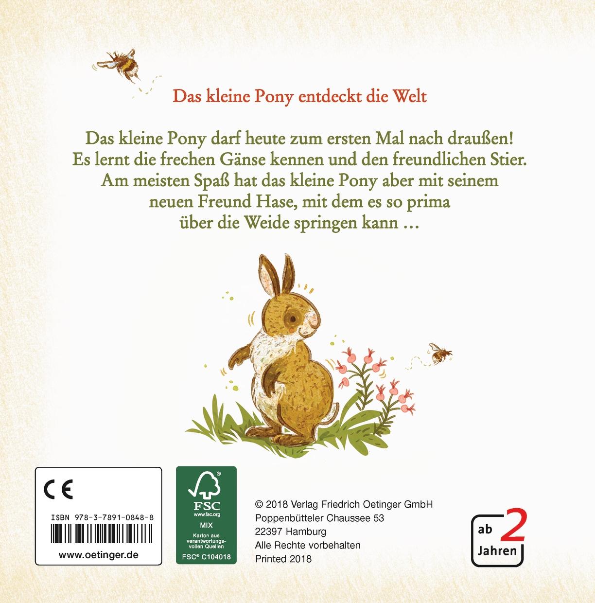 Rückseitencover Hallo, kleines Pony!