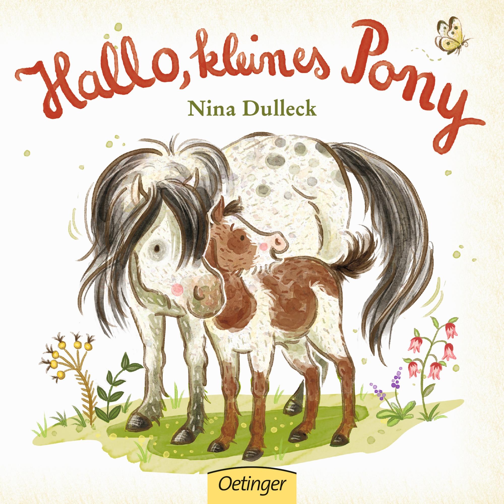 Vorderes Coverbild Hallo, kleines Pony!