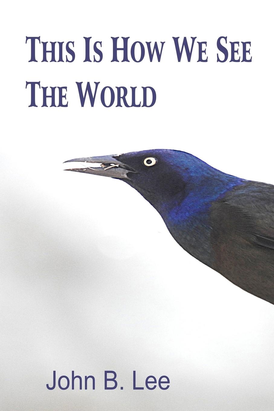 Vorderes Coverbild This is How We See the World