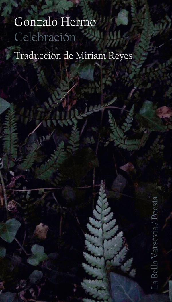 Vorderes Coverbild Celebración