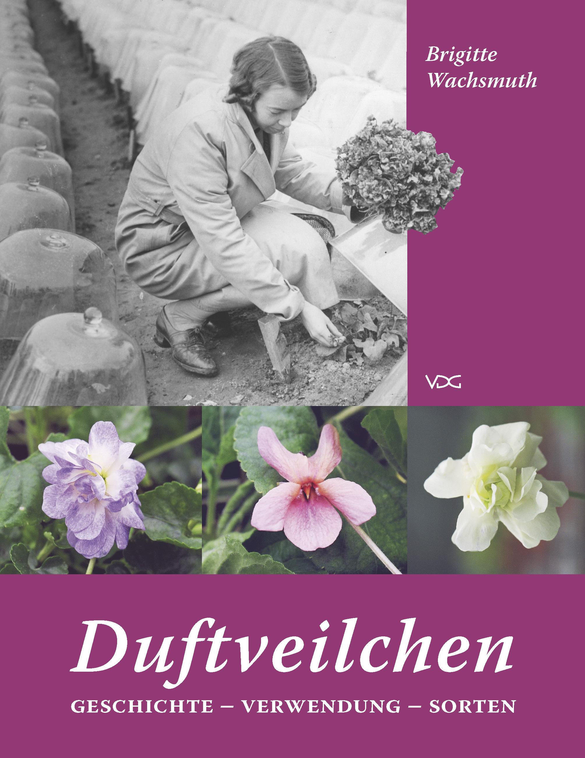 Vorderes Coverbild Duftveilchen