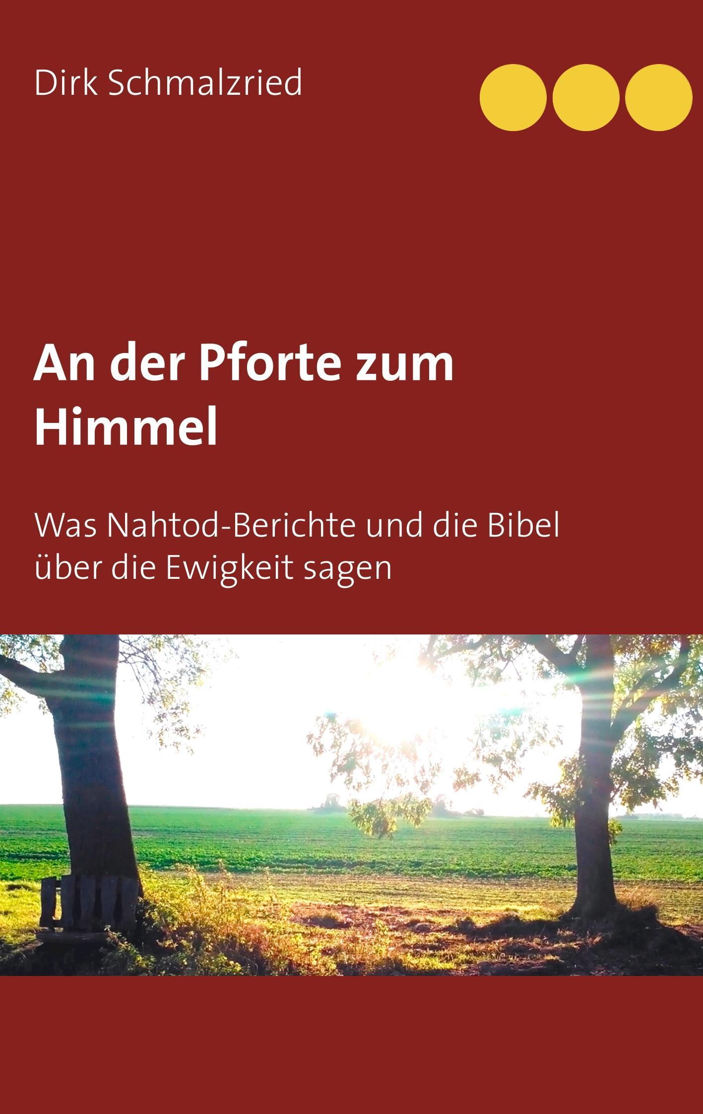 Vorderes Coverbild An der Pforte zum Himmel