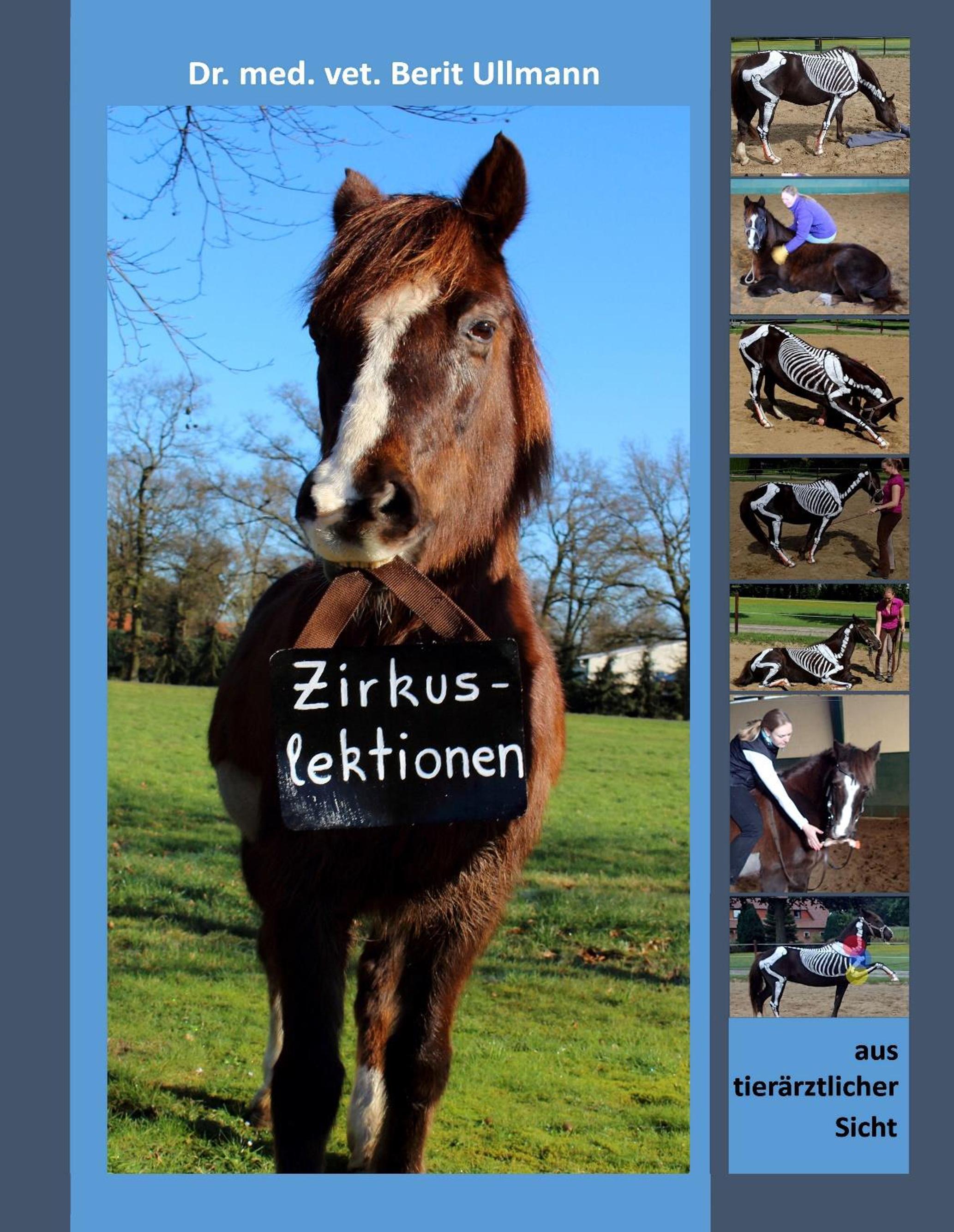 Vorderes Coverbild Zirkuslektionen
