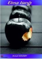 Vorderes Coverbild Elma Isirigi