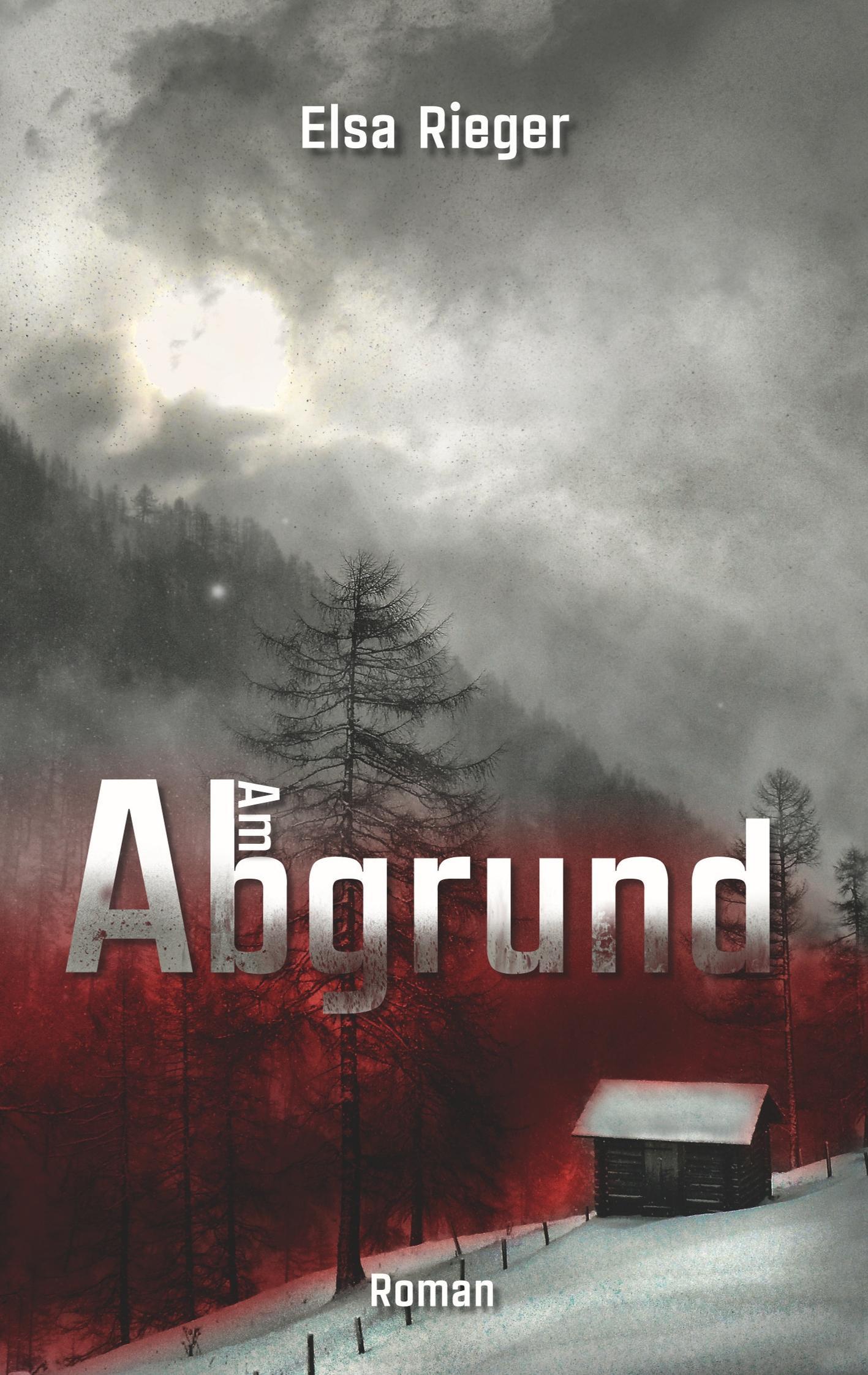 Vorderes Coverbild Am Abgrund