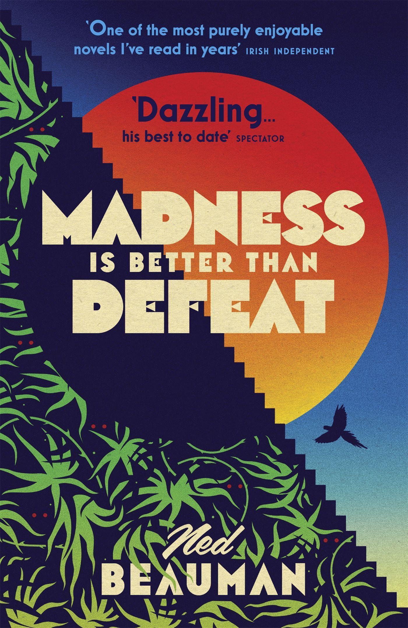 Vorderes Coverbild Madness is Better than Defeat