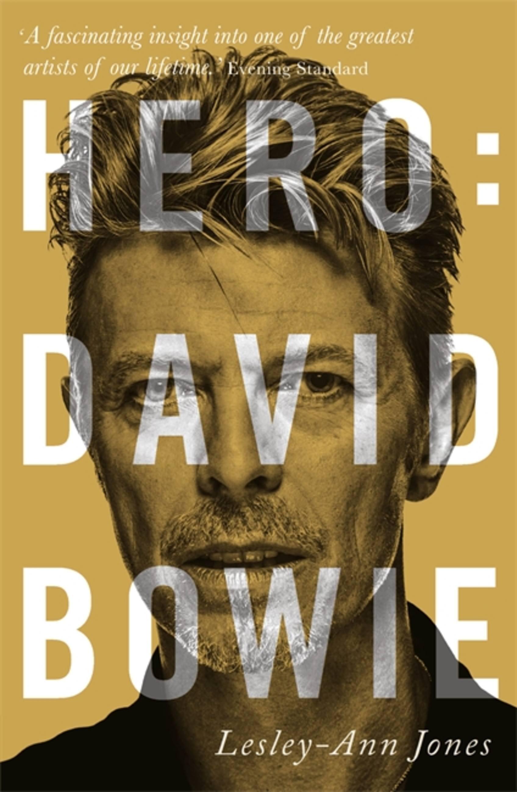 Vorderes Coverbild Hero