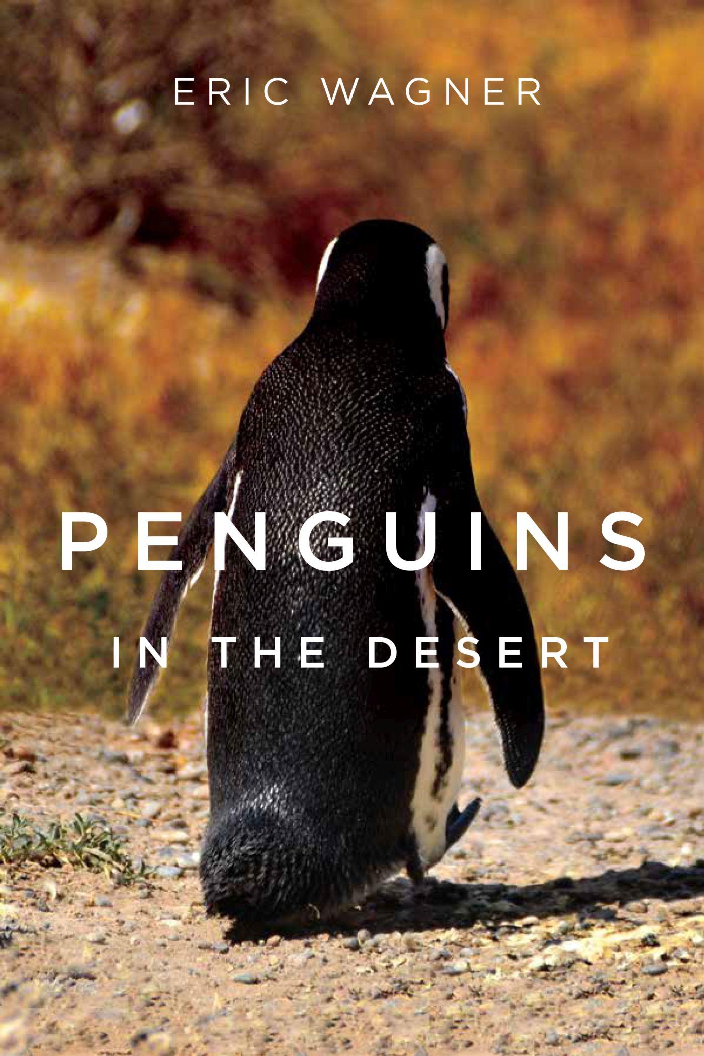 Vorderes Coverbild Penguins in the Desert