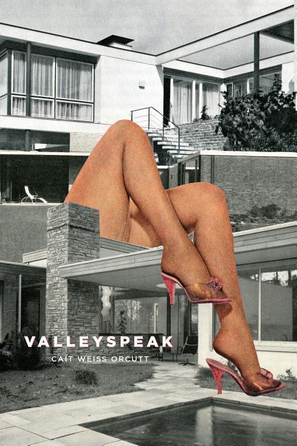 Vorderes Coverbild Valleyspeak