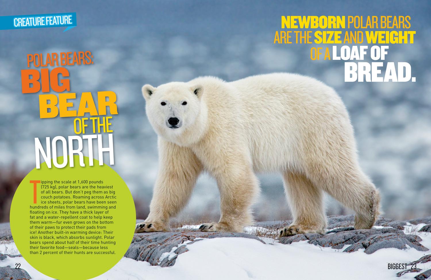 Beispielinhalt (Bild) National Geographic Kids Extreme Records