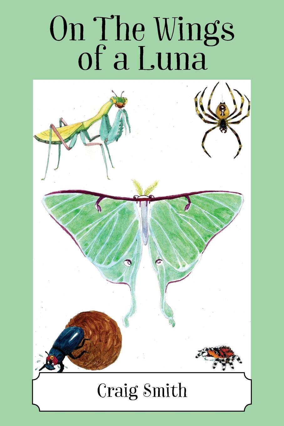 Vorderes Coverbild On The Wings of a Luna