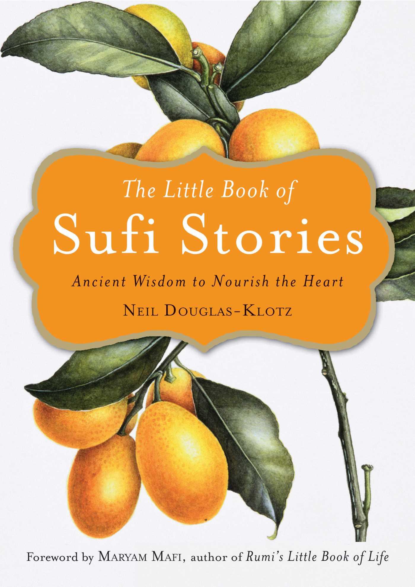 Vorderes Coverbild The Little Book of Sufi Stories