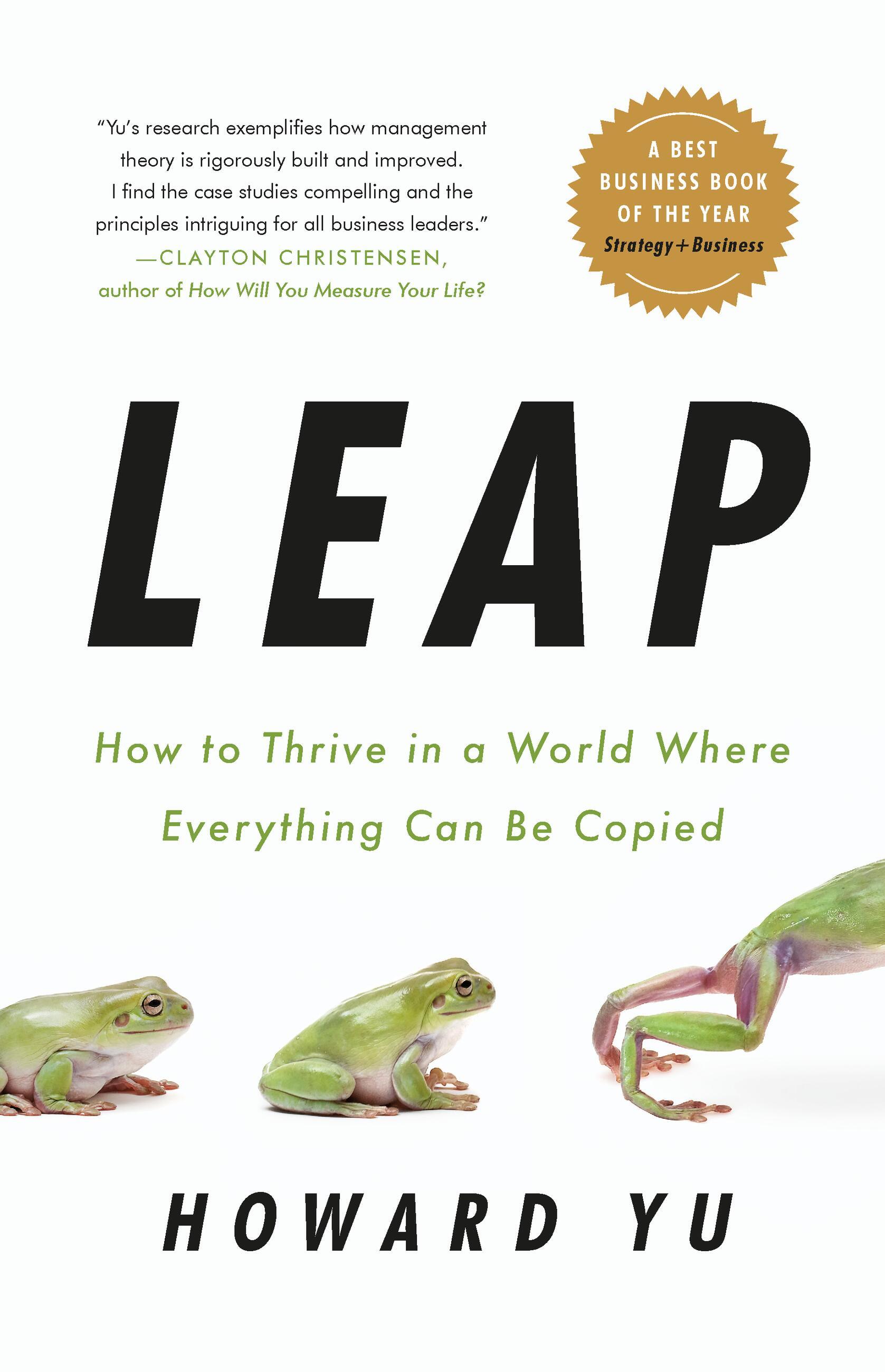 Vorderes Coverbild Leap