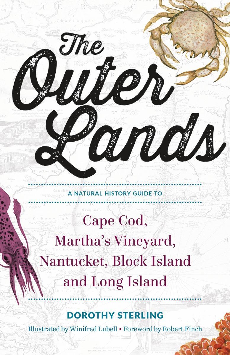 Vorderes Coverbild The Outer Lands