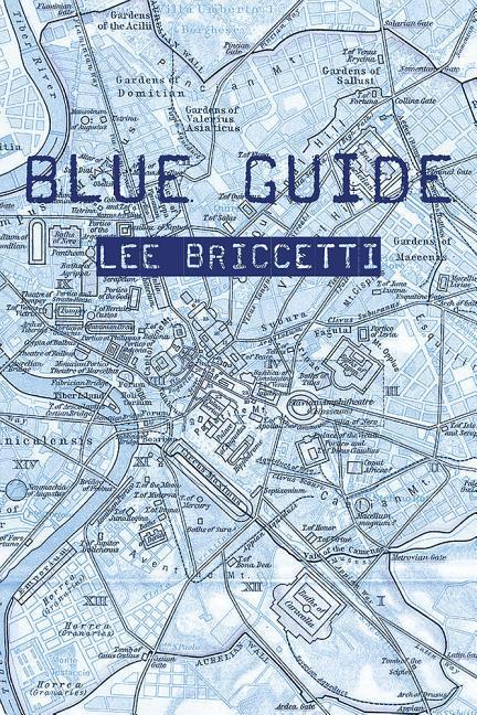 Vorderes Coverbild Blue Guide