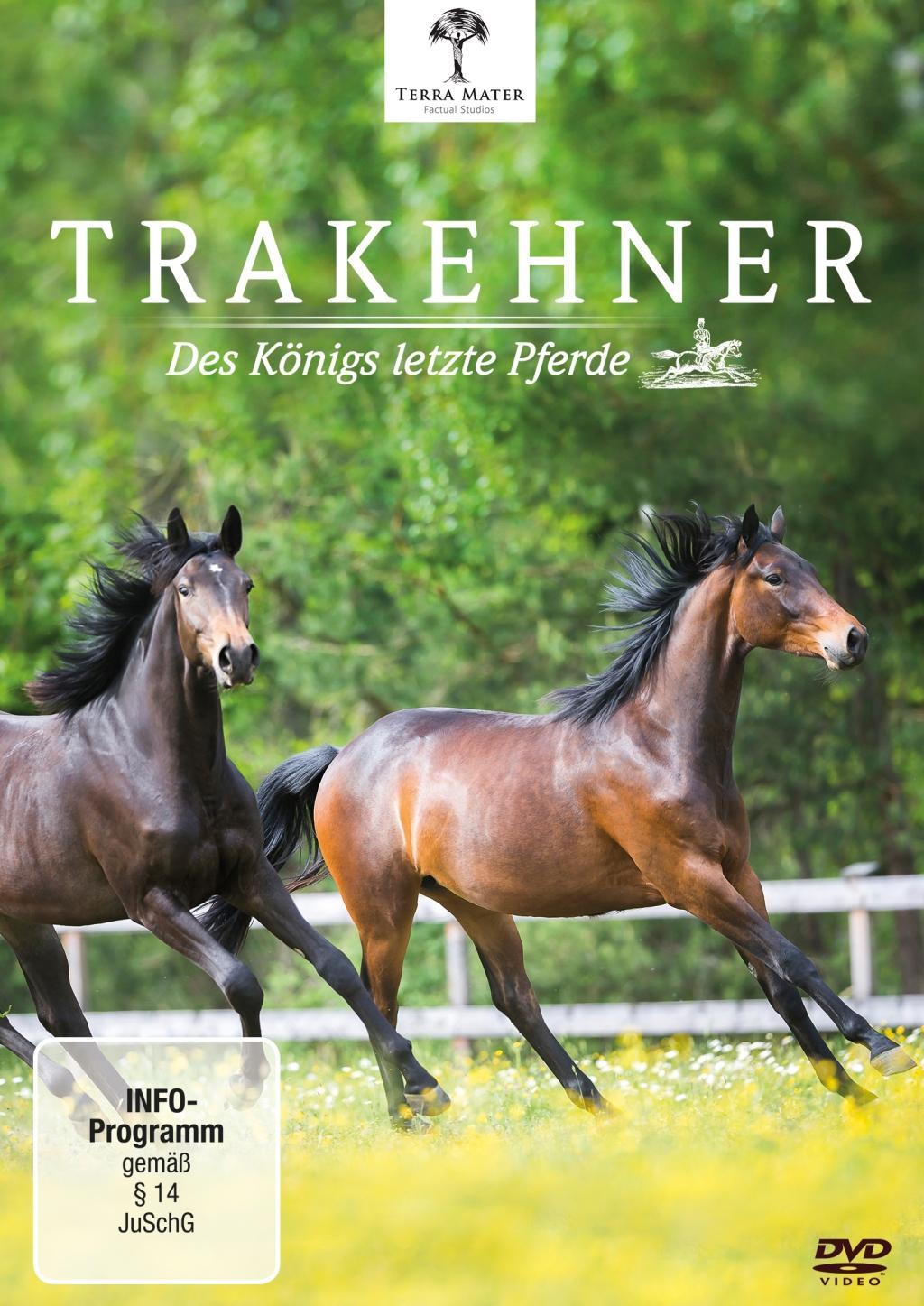 Vorderes Coverbild Trakehner - Des Königs letzte Pferde