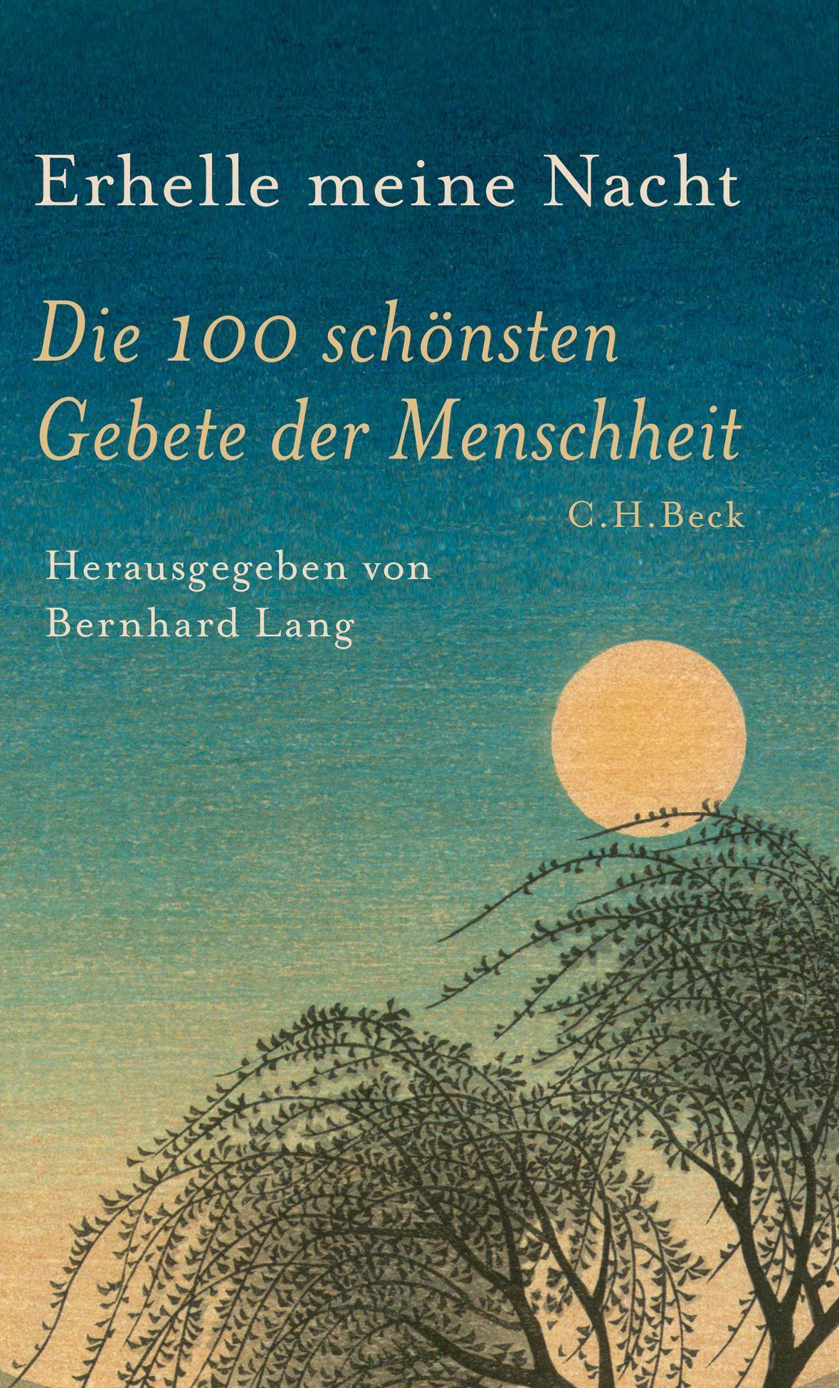 Vorderes Coverbild Erhelle meine Nacht
