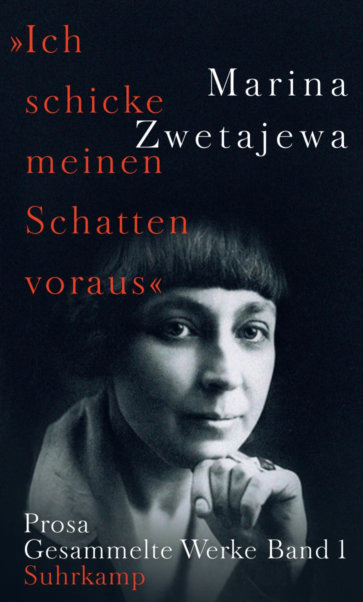 Vorderes Coverbild »Ich schicke meinen Schatten voraus«