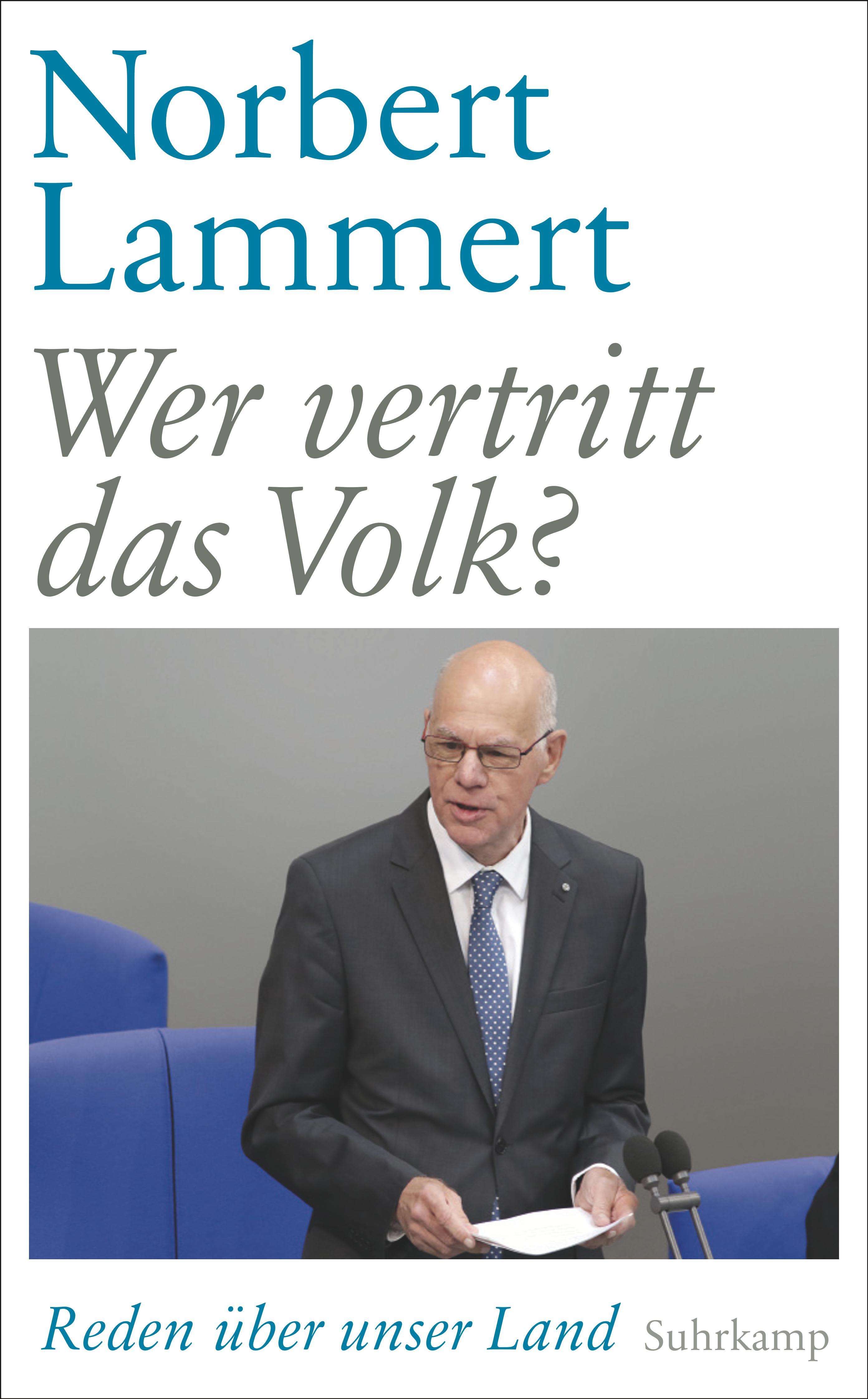 Vorderes Coverbild Wer vertritt das Volk?