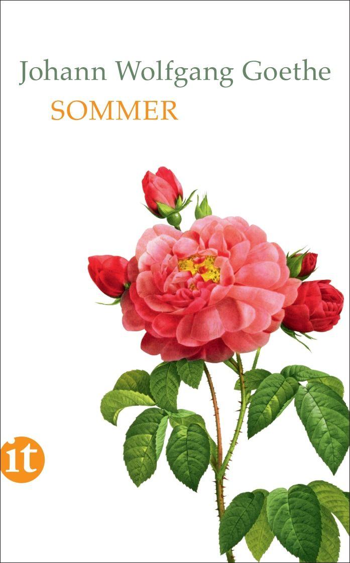 Vorderes Coverbild Sommer