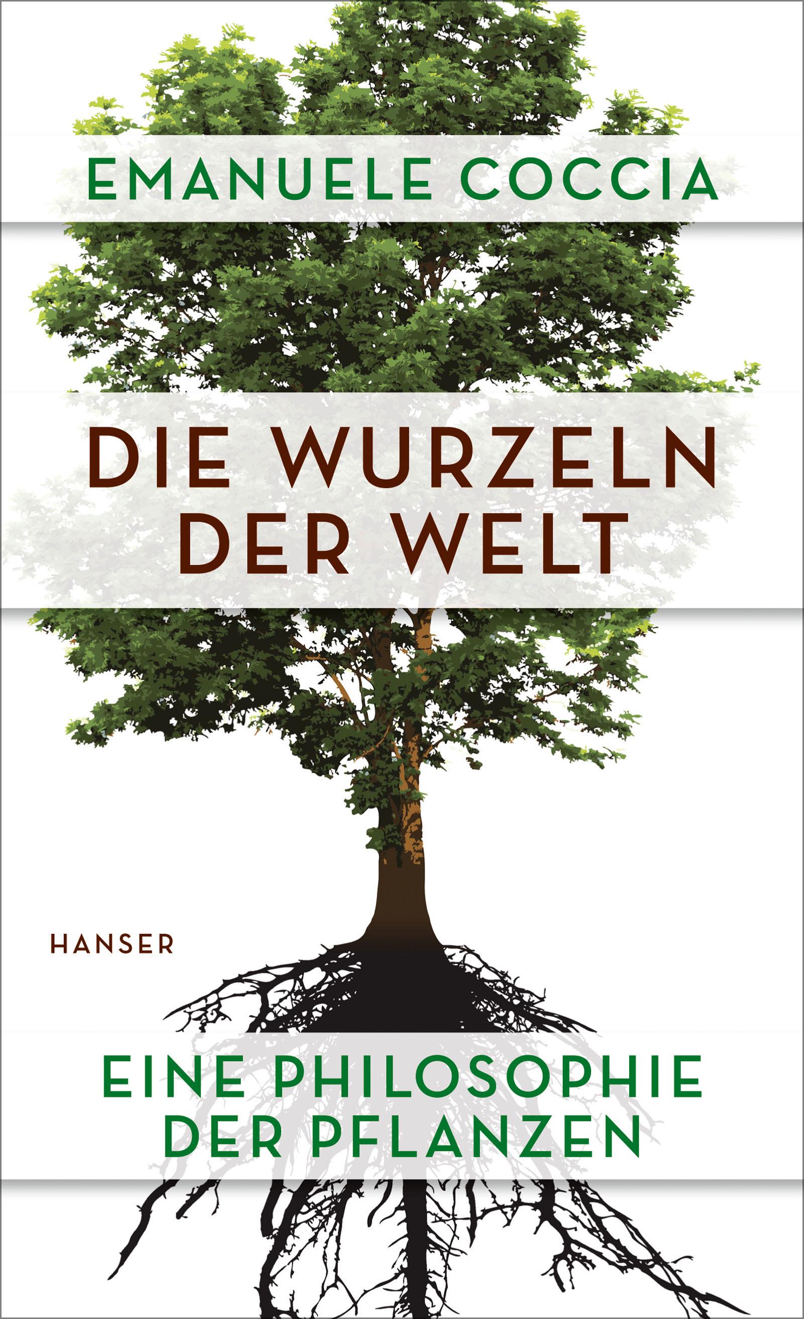 Vorderes Coverbild Die Wurzeln der Welt