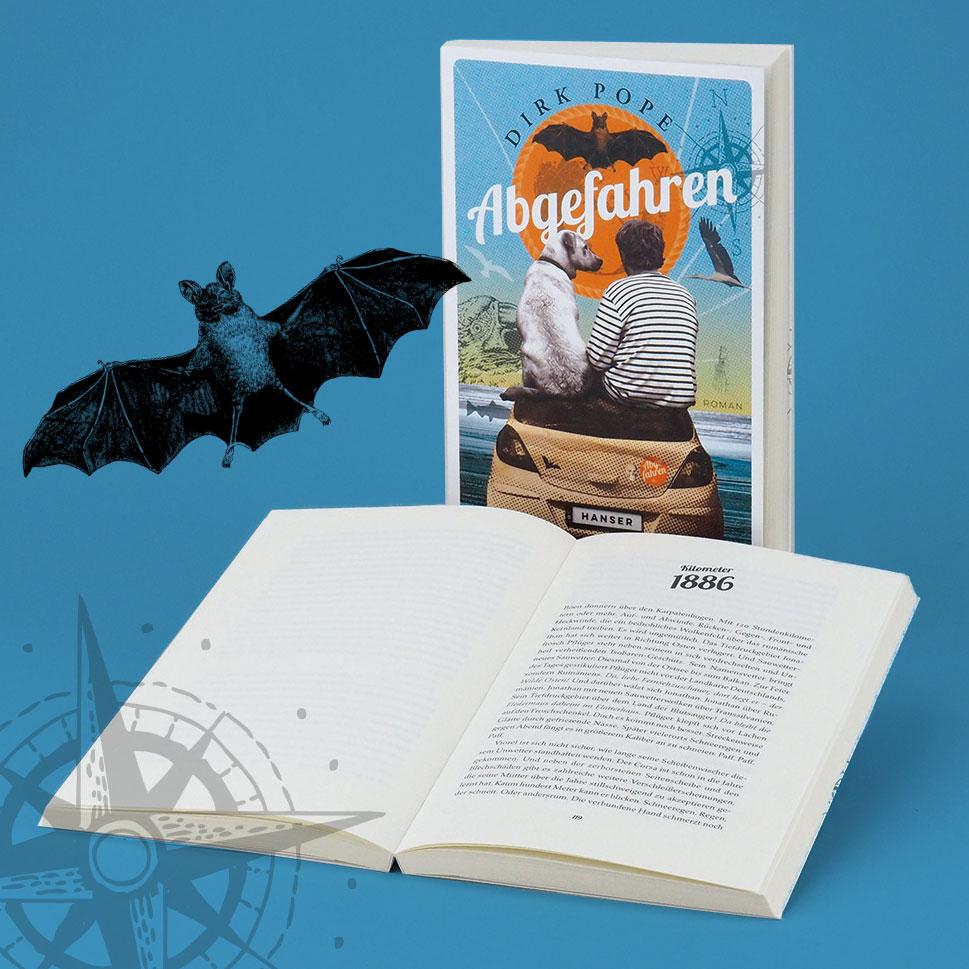 Beispielinhalt (Bild) Abgefahren