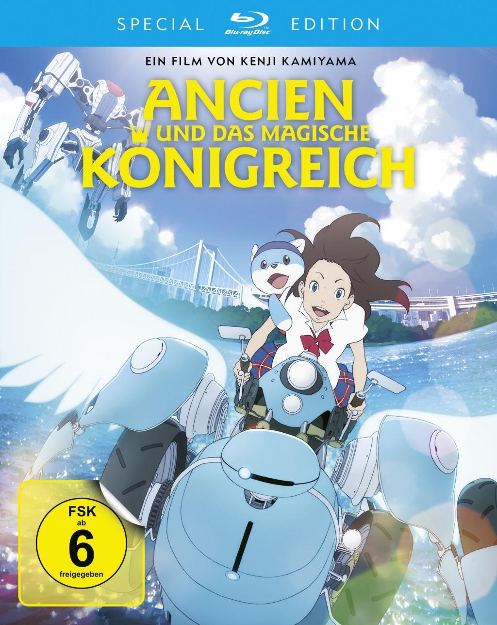 Vorderes Coverbild Ancien und das magische Königreich
