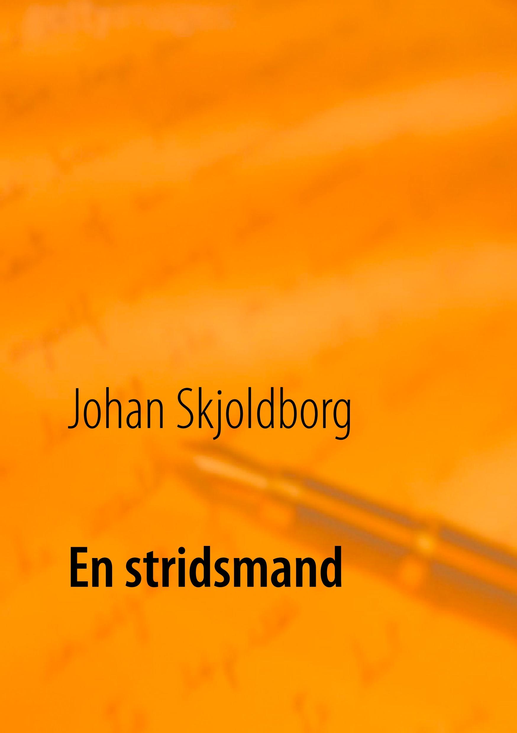 Vorderes Coverbild En stridsmand