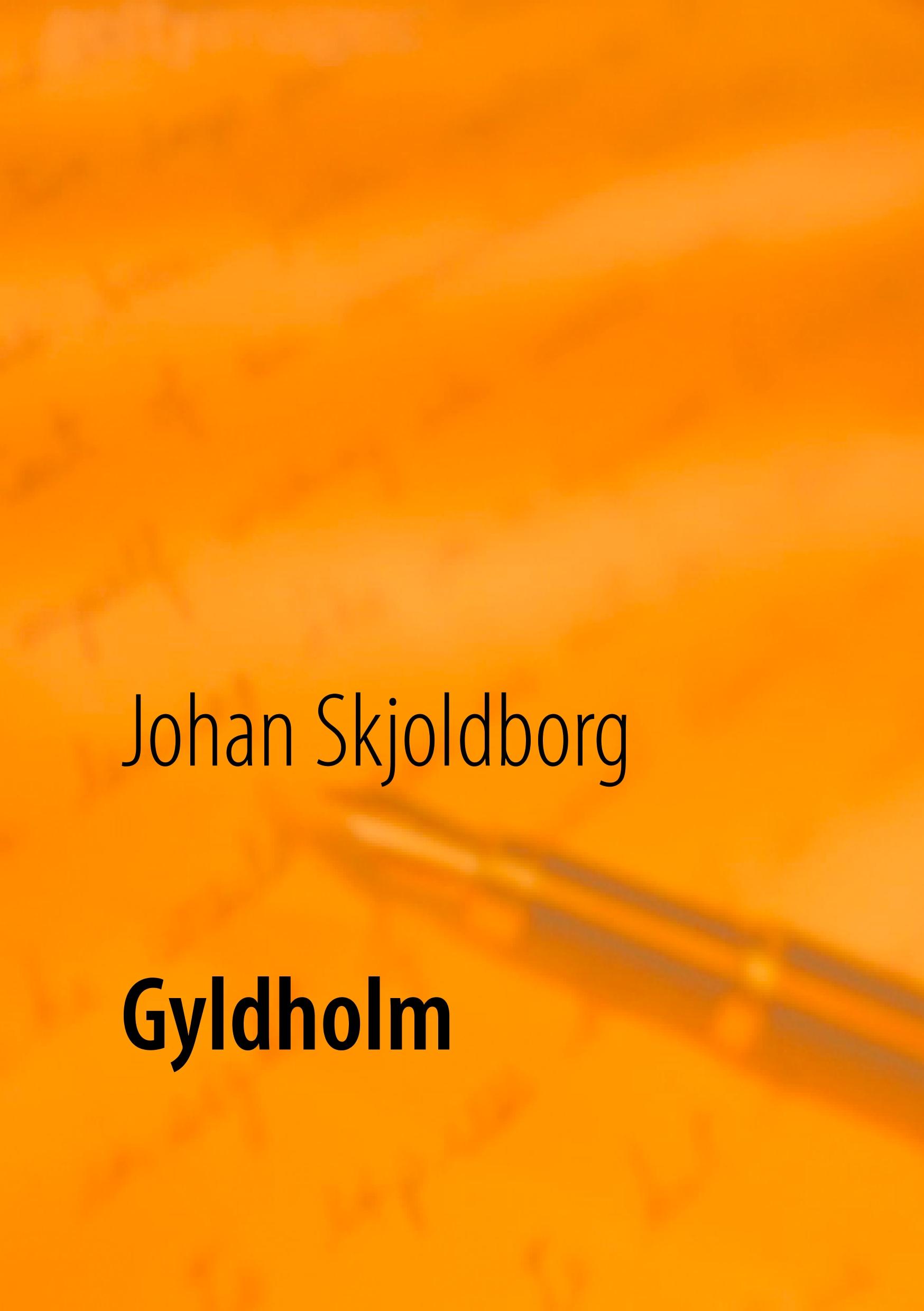 Vorderes Coverbild Gyldholm