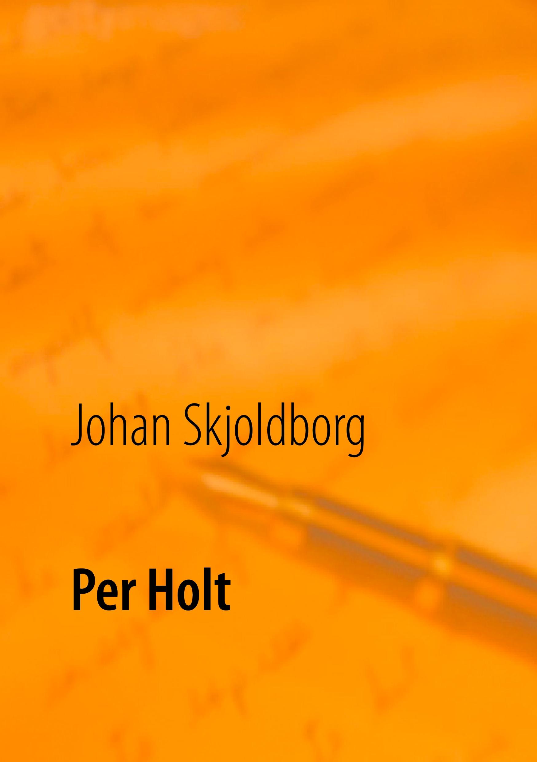 Vorderes Coverbild Per Holt