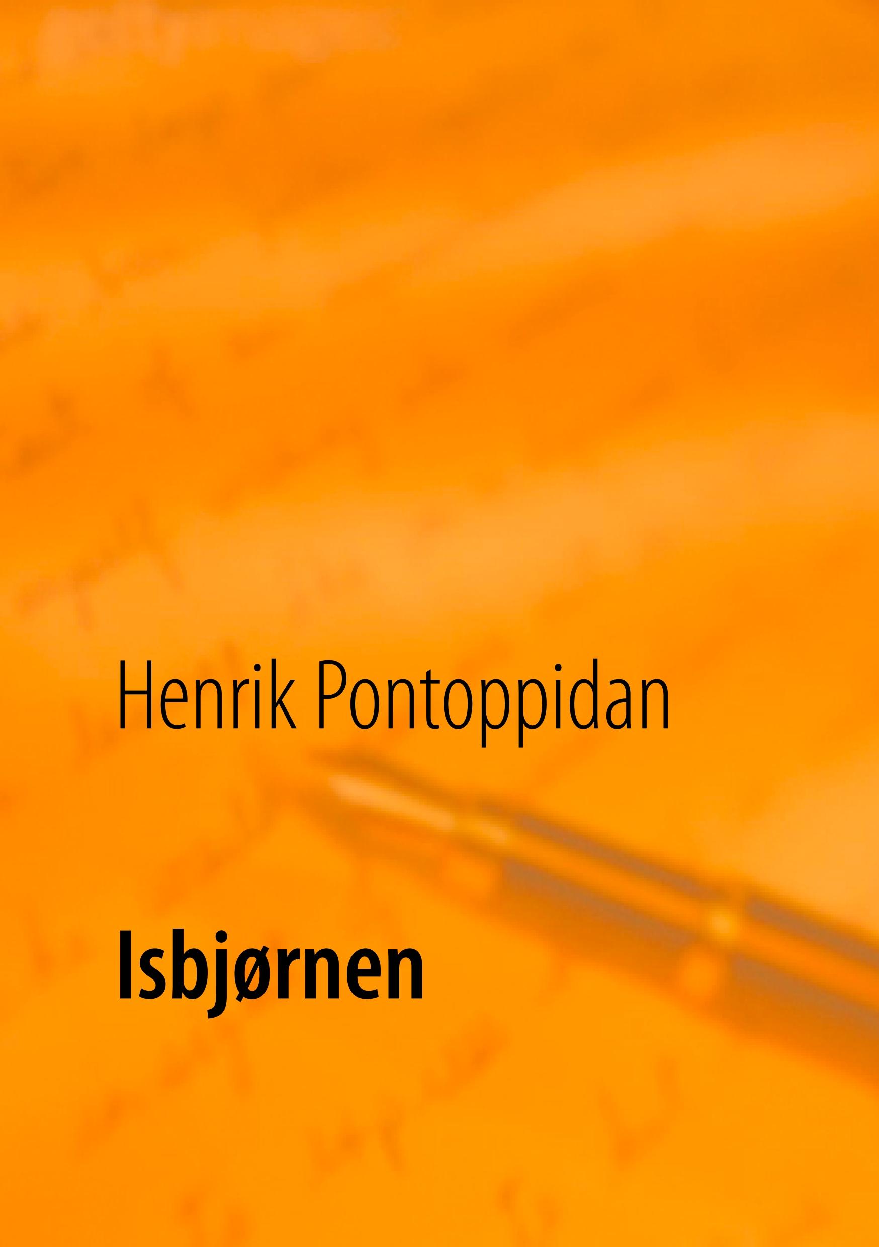 Vorderes Coverbild Isbjørnen