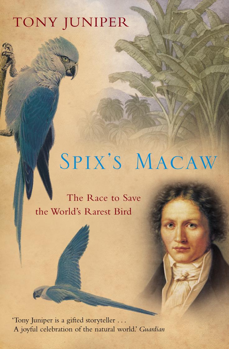 Vorderes Coverbild Spix's Macaw