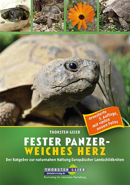 Vorderes Coverbild Fester Panzer - weiches Herz